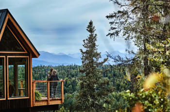 Princess Cruisetour guests will have the opportunity to hang out in a treehouse overlooking Mt. Denali.